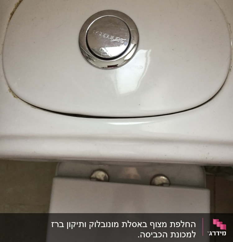 השרברב הקודם לאורן הציץ דרך הפתח של הלחצן . 